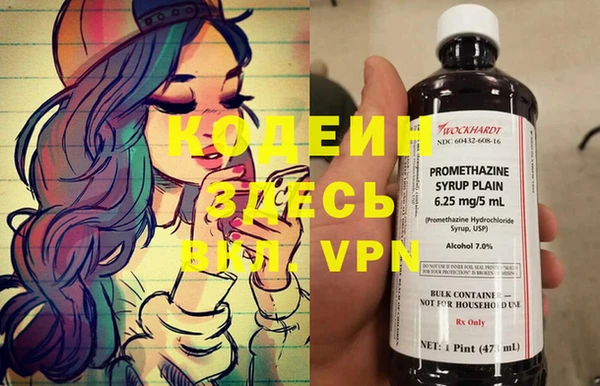 дмт Абаза
