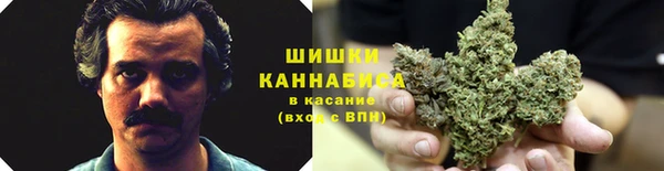 дмт Абаза