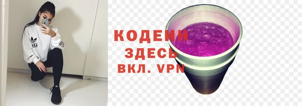 дмт Абаза