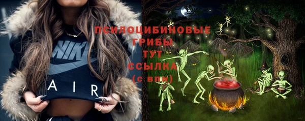 прущие грибы Мурманск